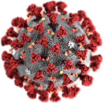 coronavirus e parto